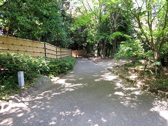 庭園の通路